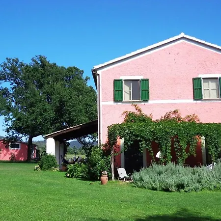 Delle More E Girasole * San Lorenzo Nuovo
