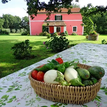 Delle More E Girasole Appartamento San Lorenzo Nuovo