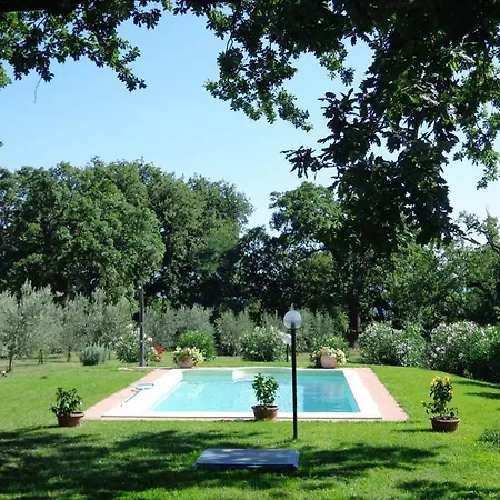 Delle More E Girasole